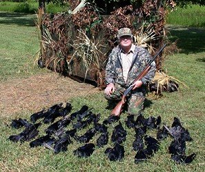Portable Blind 4