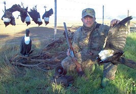 decoy on fence