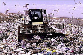 landfill