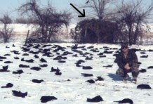 180 Degree field of fire