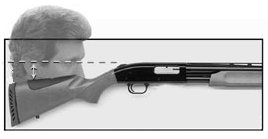 Shotgun Fit