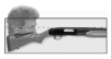 Shotgun Fitting