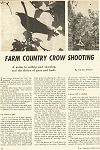 Farm Country Crows